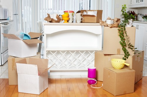 Organised moving boxes for student removals in Bermondsey