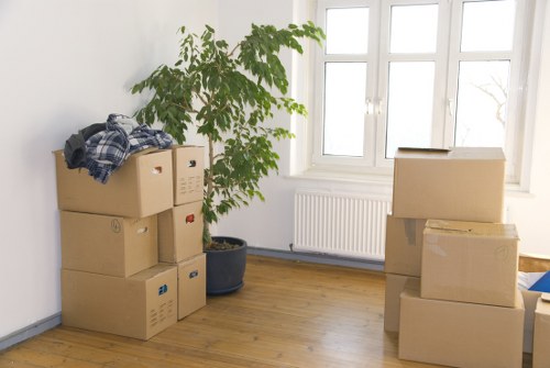 Illustration of inclusive local removal company website access
