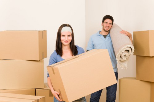 Professional man and van service handling boxes